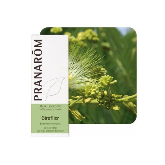 ET.ULJE KLINČIĆEVAC 10 ML PRANAROM