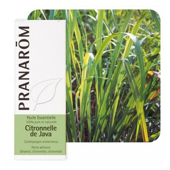 ETERIČNO ULJE CITRONELA JAVANSKA PRANAROM 10 ML